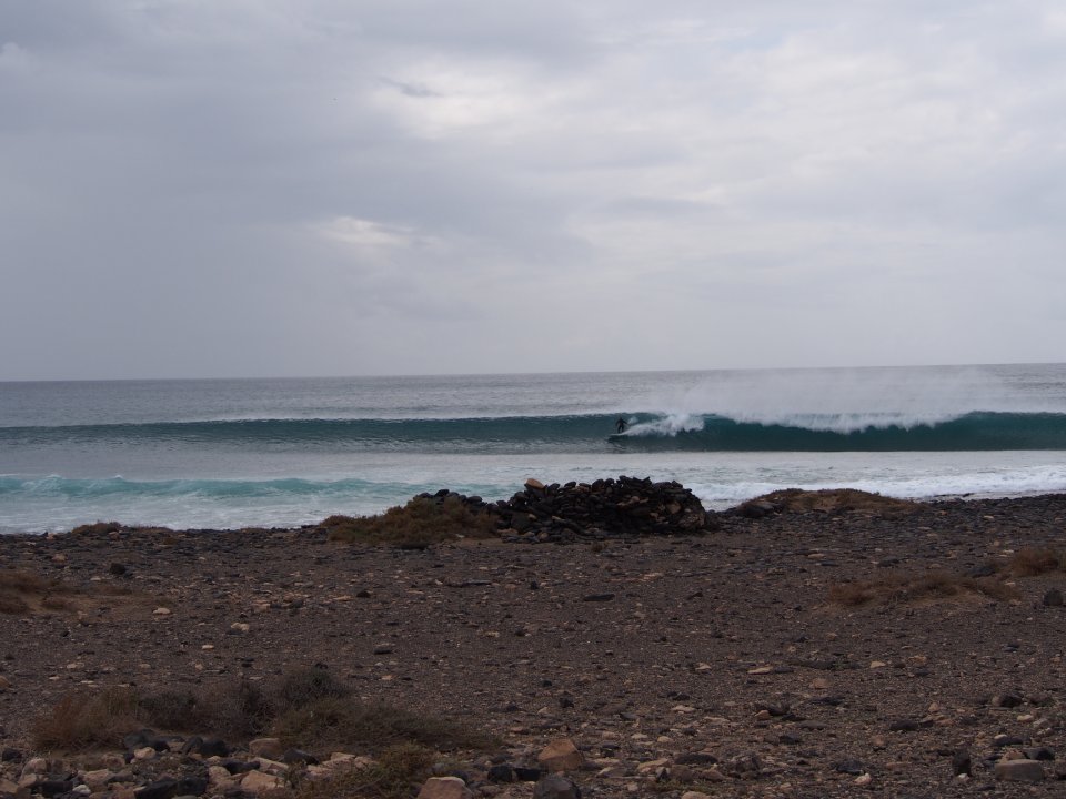 olas-giulia-parise (4)
