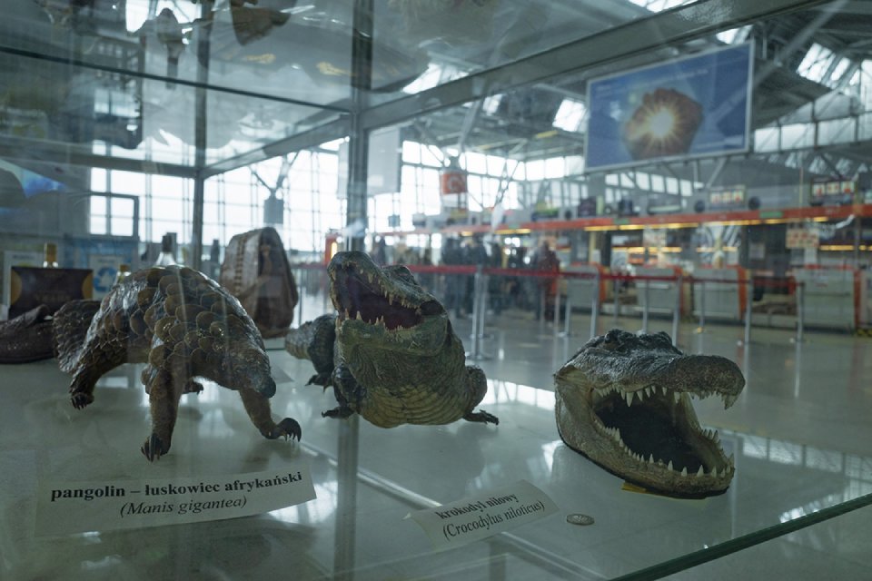 Conservación y bienestar animal_3
