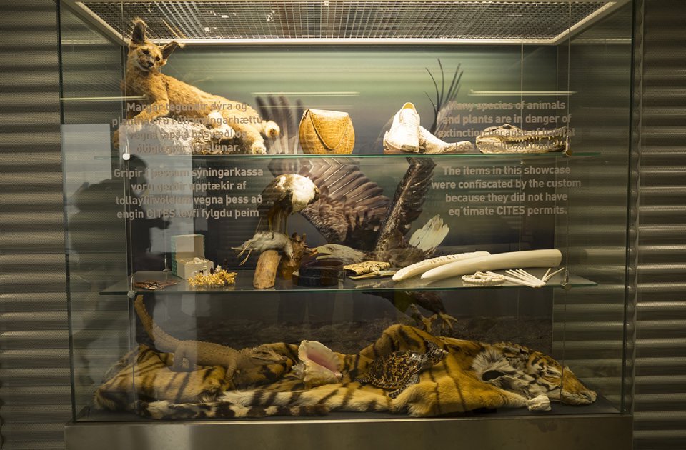 Conservación y bienestar animal_2
