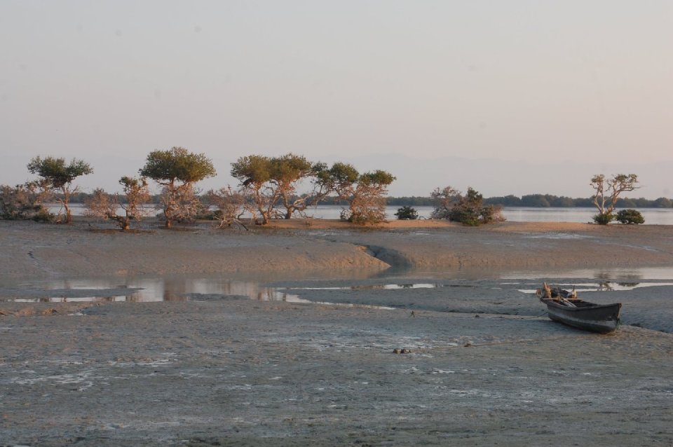 golfo-persico-farzin (11)