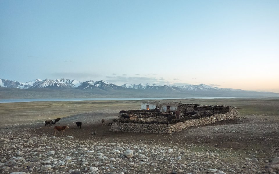 (Tajikistán) 931c Granja, Zor Kul