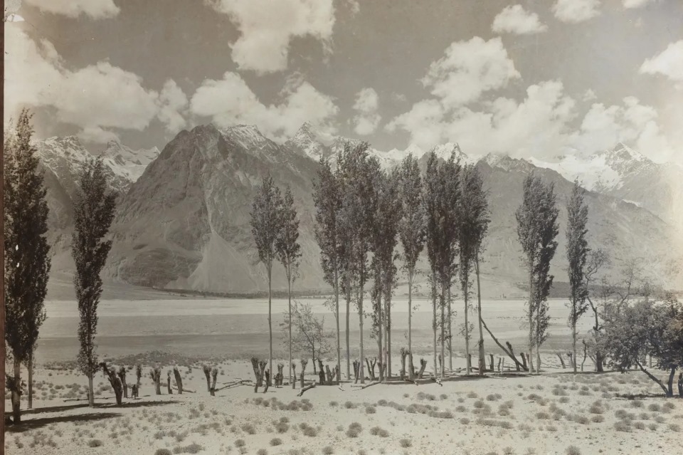 vittorio-sella-kashmir